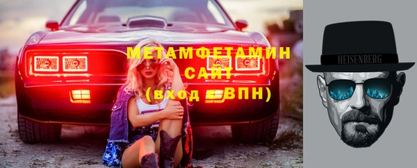 прущие грибы Иннополис