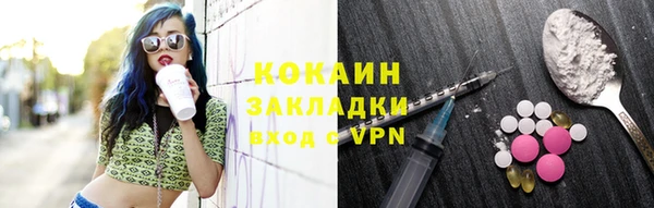 прущие грибы Иннополис
