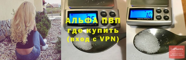 твердый Инсар