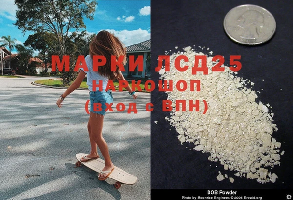 прущие грибы Иннополис
