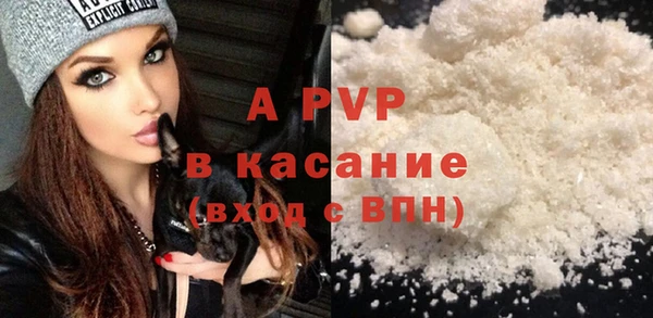 твердый Инсар