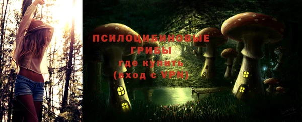 дурь Зеленодольск