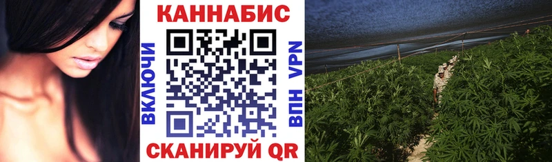 Шишки марихуана гибрид Купить где Майский
